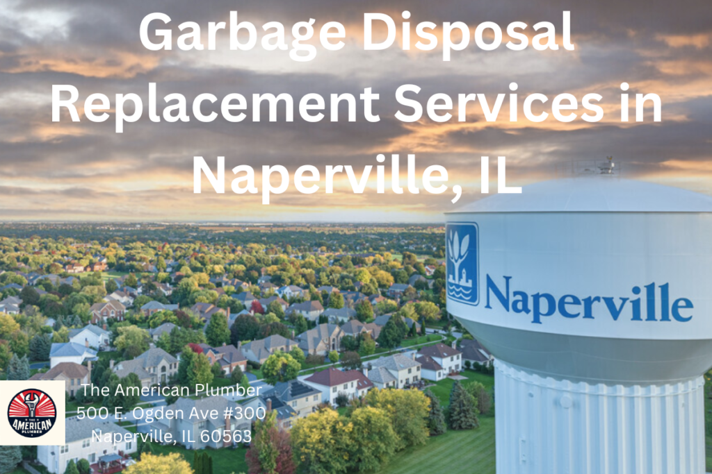 Garbage Disposal Replacement Services in Naperville IL